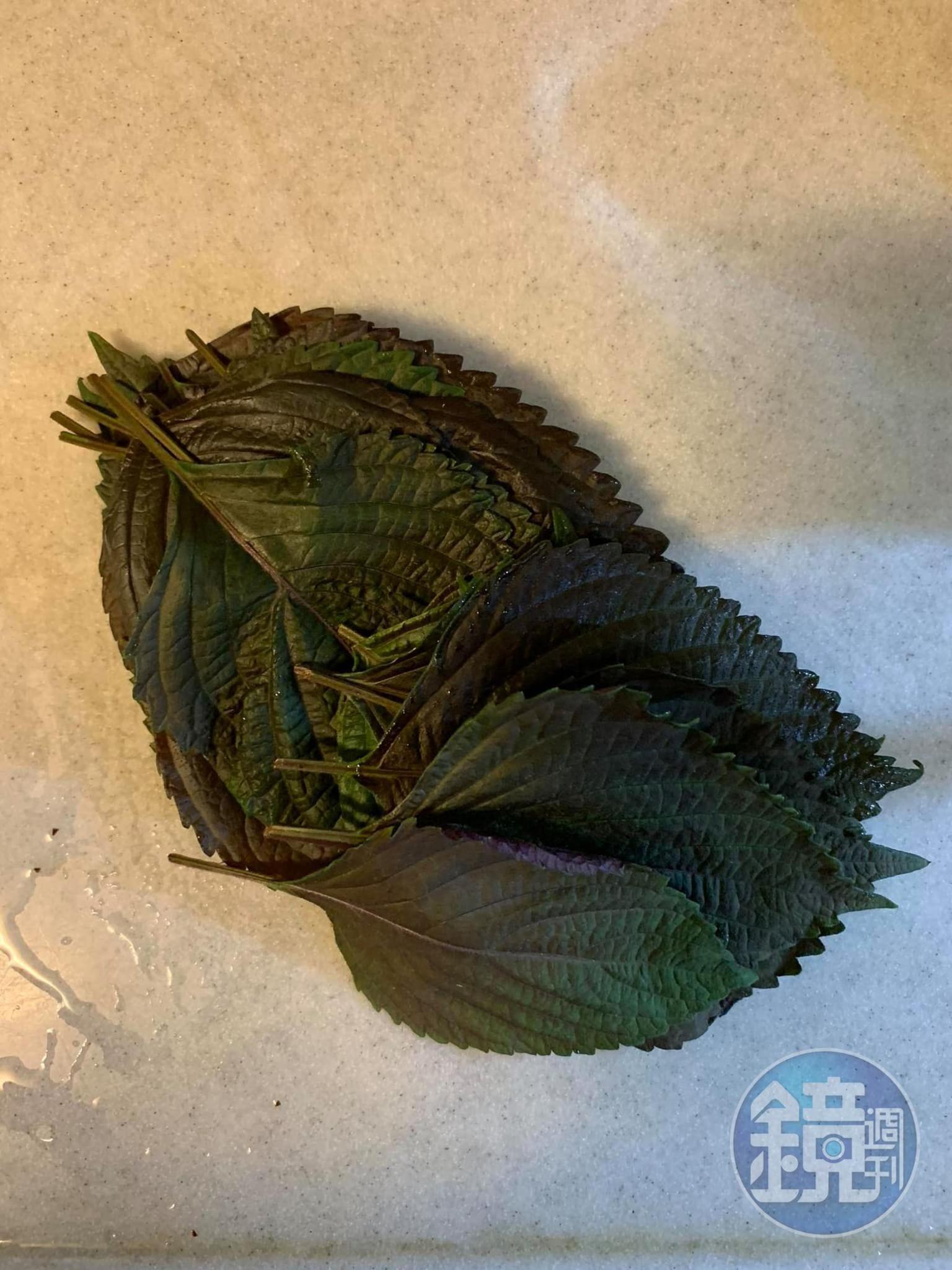 新鮮紫蘇洗淨。