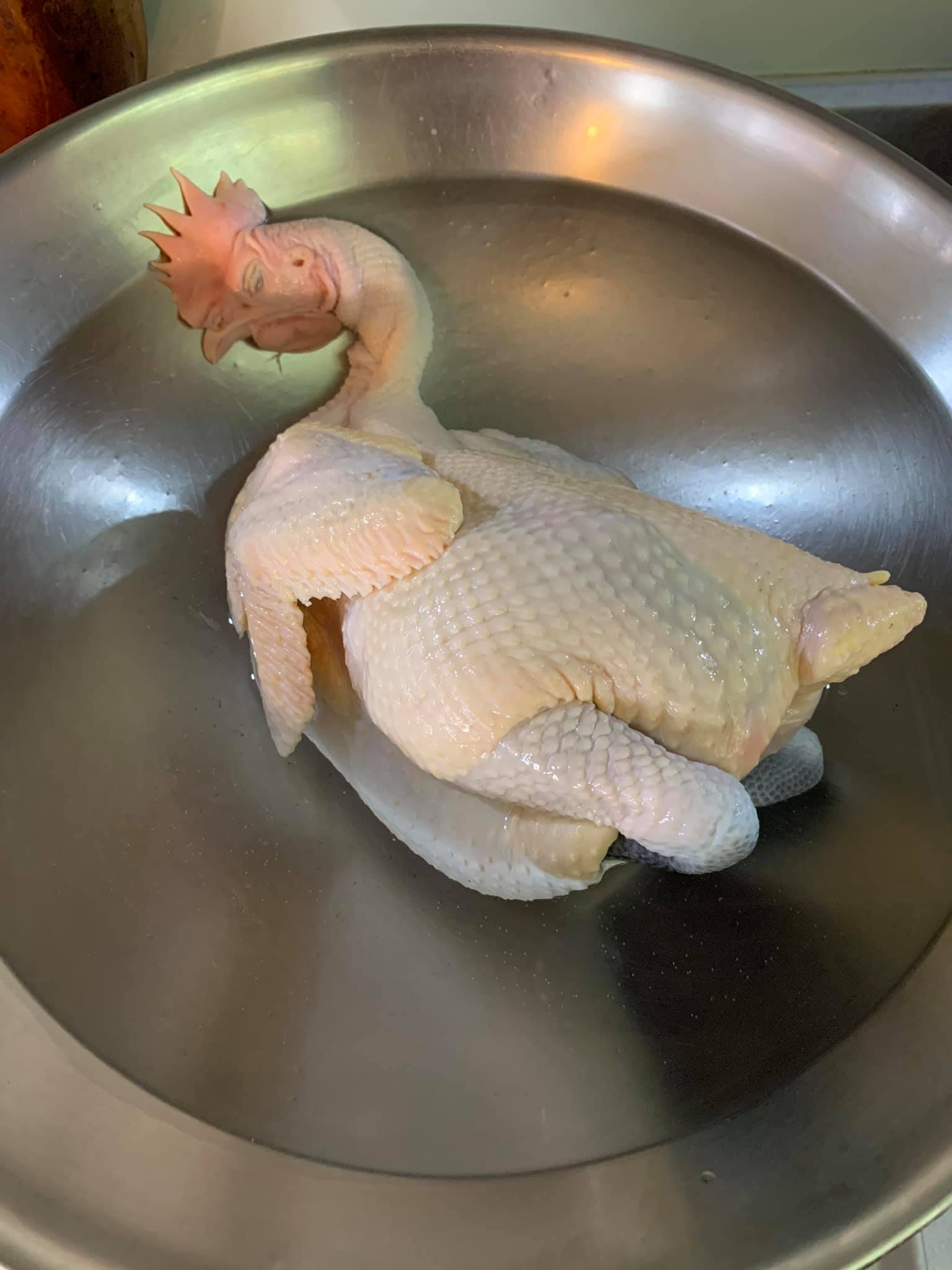 汆燙土雞。