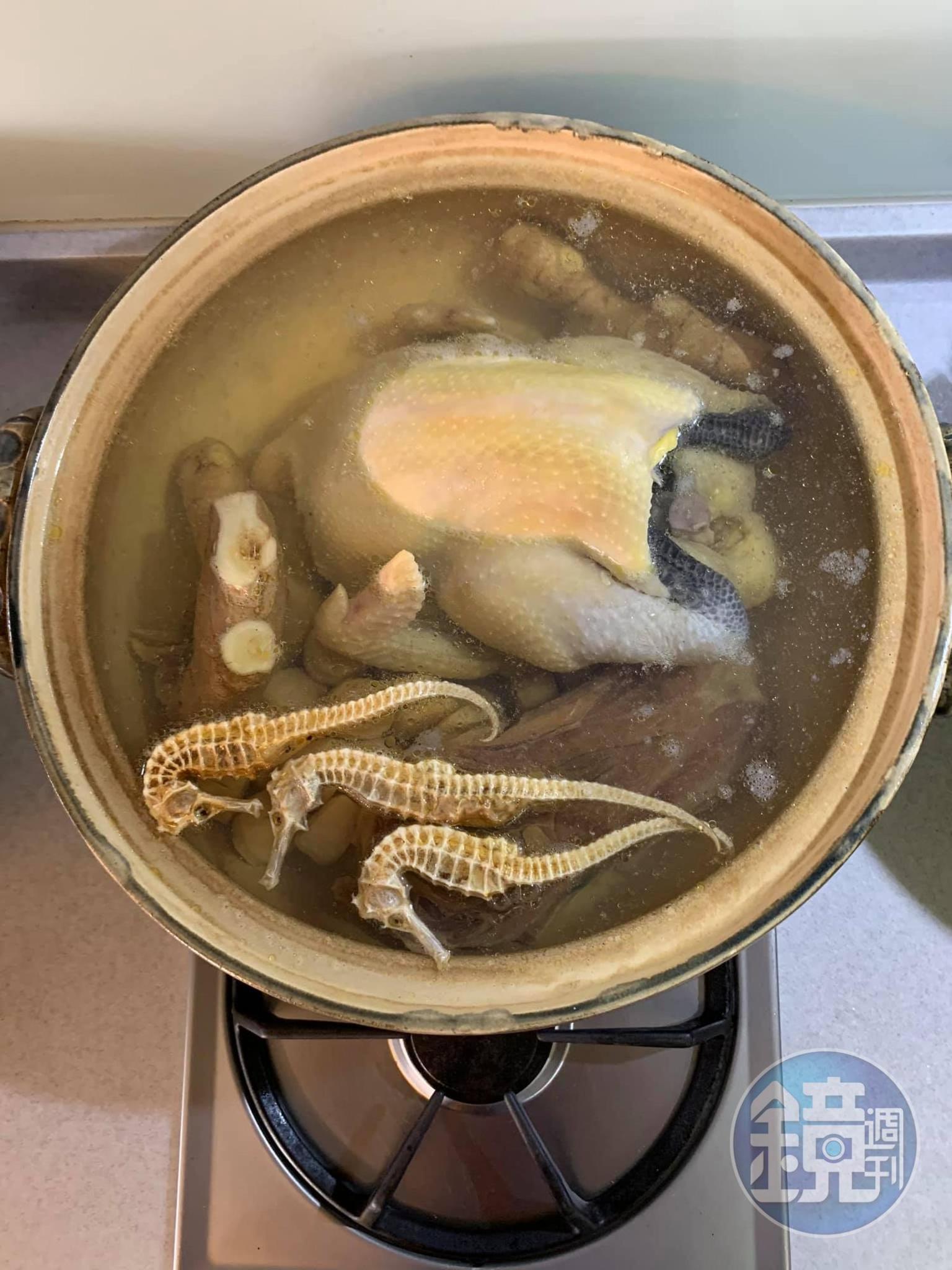 再撈油，好大的海馬。