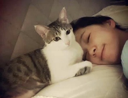 六月昔日疼愛「小三」的照片，成了網友諷刺的目標。（翻攝自六月臉書）