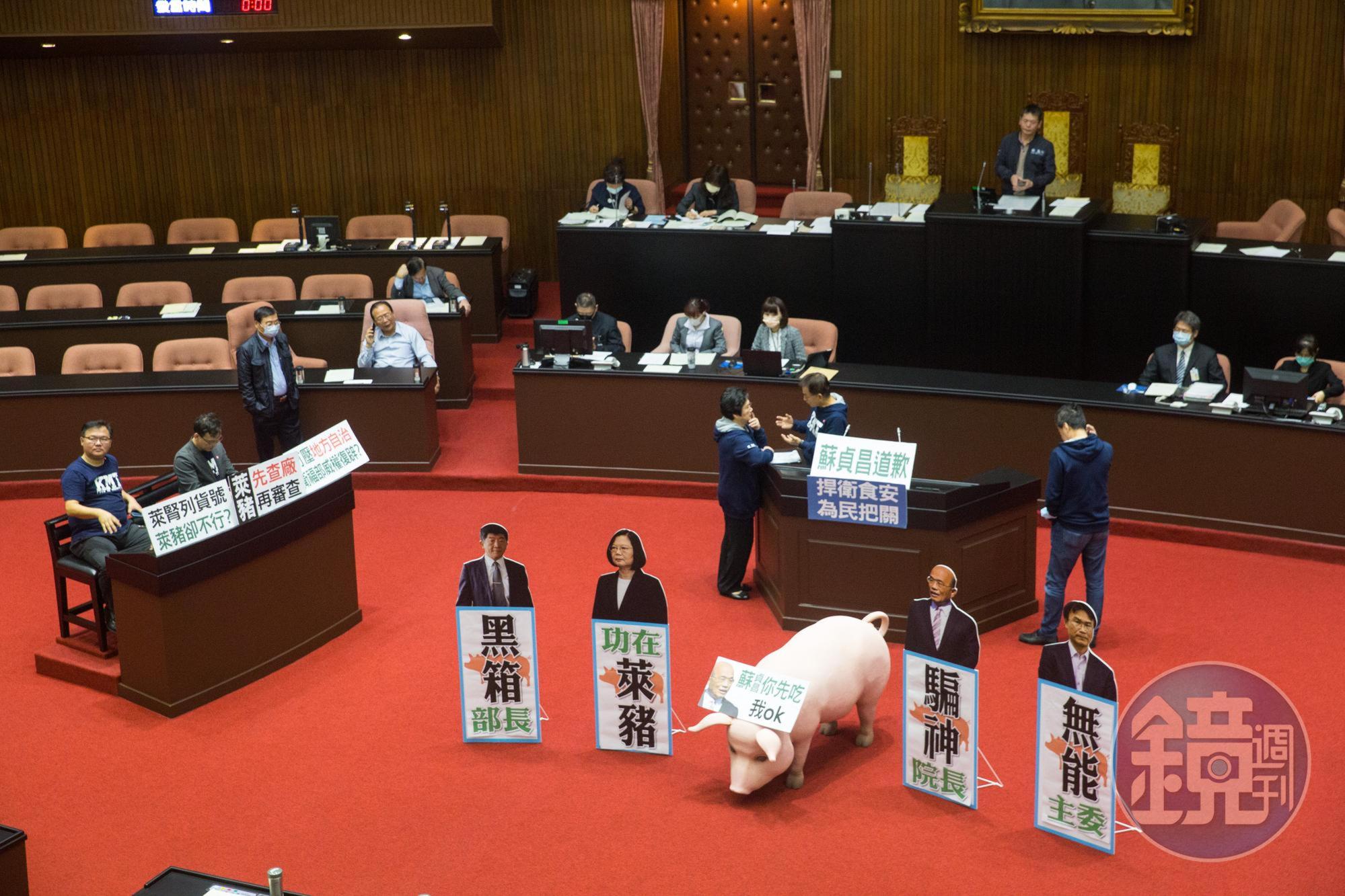 國民黨數度將粉紅豬隻裝置藝術擺在議場內,並杯葛行政院長上台報告與備詢。(本刊資料照)