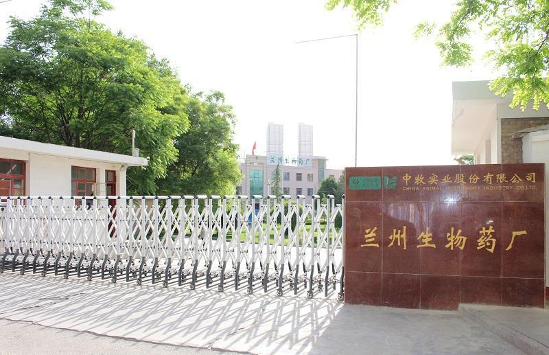 中國甘肅省蘭州一生物藥廠在生產布氏桿菌(Brucellosis)獸用疫苗時,因消毒不徹底,造成當地大規模感染事件。(翻攝自中牧股份蘭州生物藥廠官網)