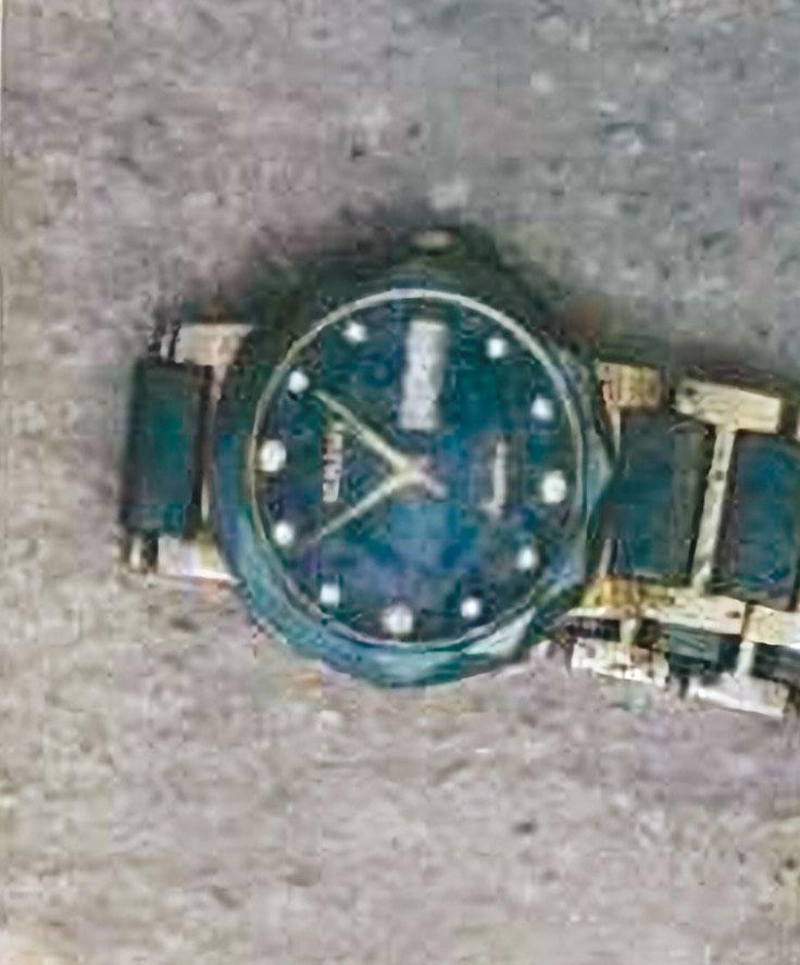 警方根據死者手錶機芯裡的越南文字,循線查出死者身分。(翻攝畫面)