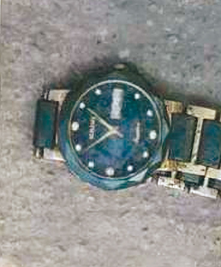 警方根據死者手錶機芯裡的越南文字，循線查出死者身分。（翻攝畫面）