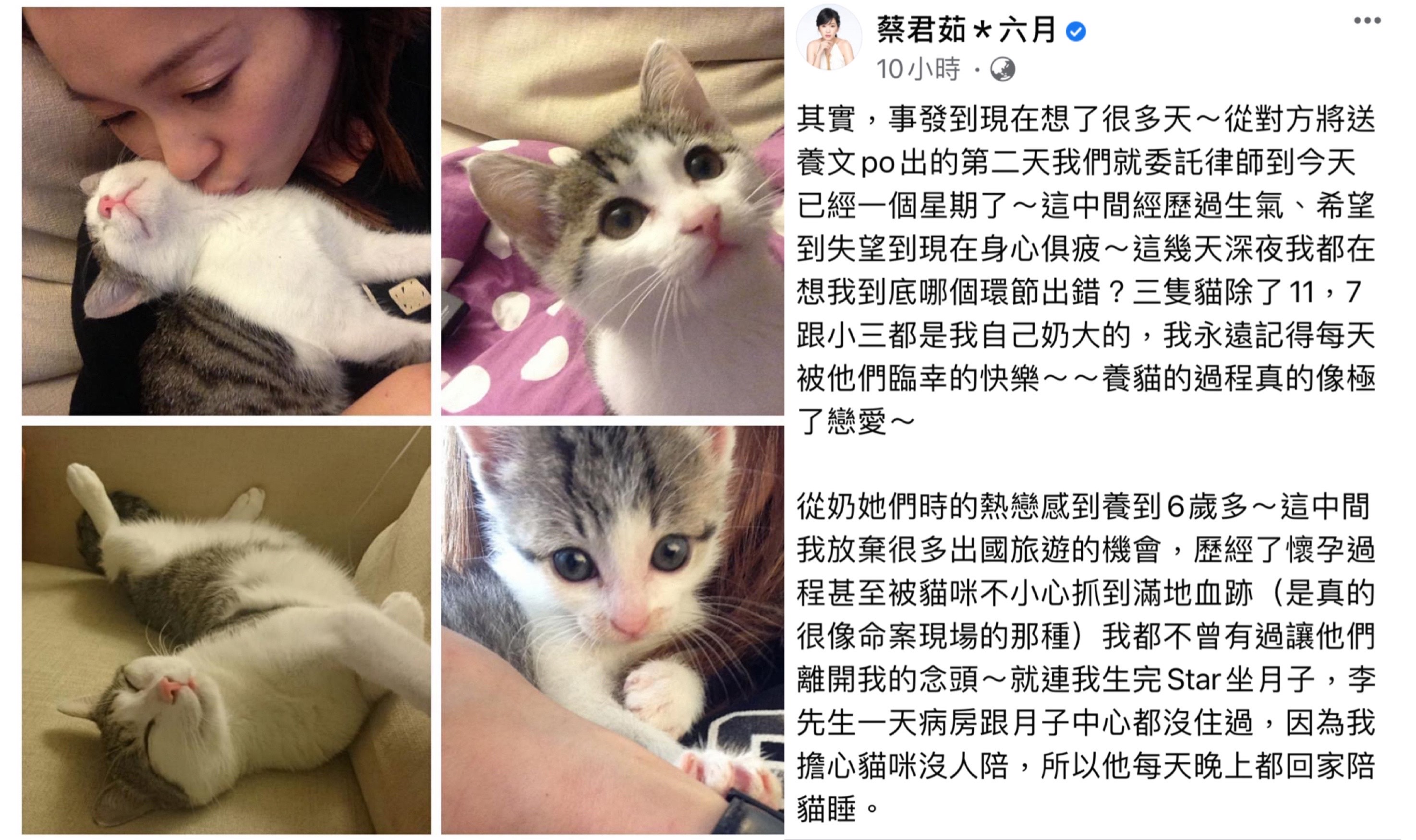 六月深陷棄貓疑雲身心俱疲，感嘆做再多努力都遭判死刑。（翻攝自六月臉書）