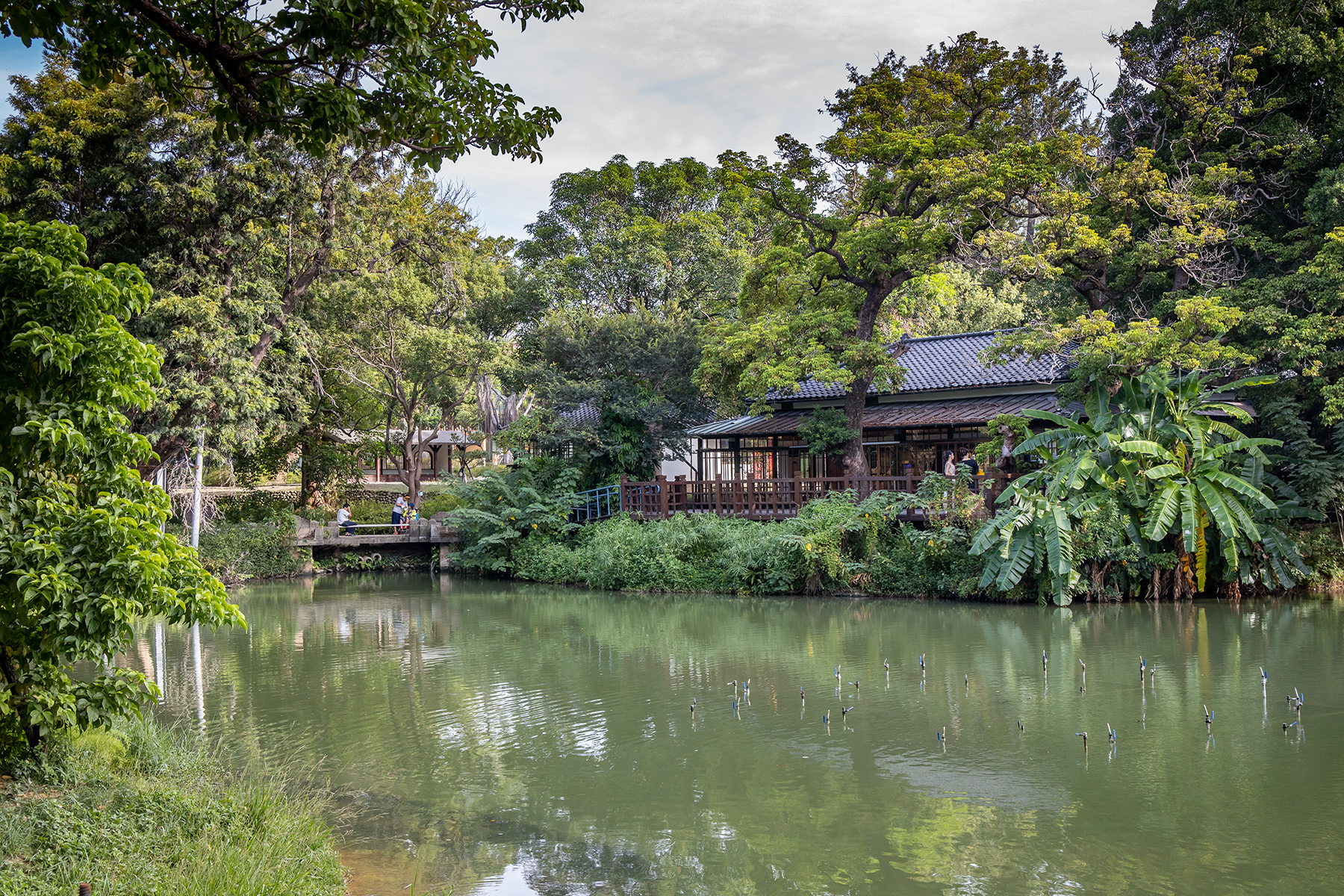 在湖畔料亭可以一邊品嘗美食，一邊欣賞風景，相當悠閒。