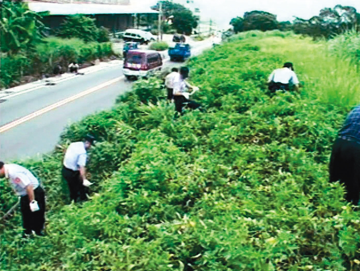 警方派員在陳屍現場附近大規模搜索，希望能掌握更多破案線索。（東森新聞提供）