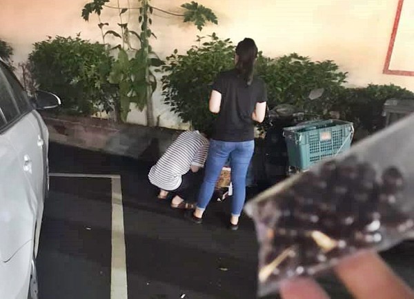 台南花園夜市有一名小女孩在廁所旁賣零食，網友貼出照片後被當地人告知，小妹妹是長期擺攤，斥責其父母「濫用愛心」。（翻攝自臉書社團「台南爆料公社」）