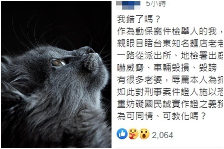 台東知名麵店涉嫌摔貓致死遭起訴,但證人事後遭到一連串對方親友團恐嚇威脅。(翻攝自pexels/台灣動保臉書)