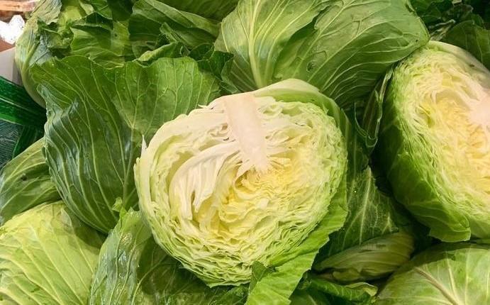 今年未受颱風影響菜農，不過高麗菜菜價因蟲害直飆。（翻攝自臉書）