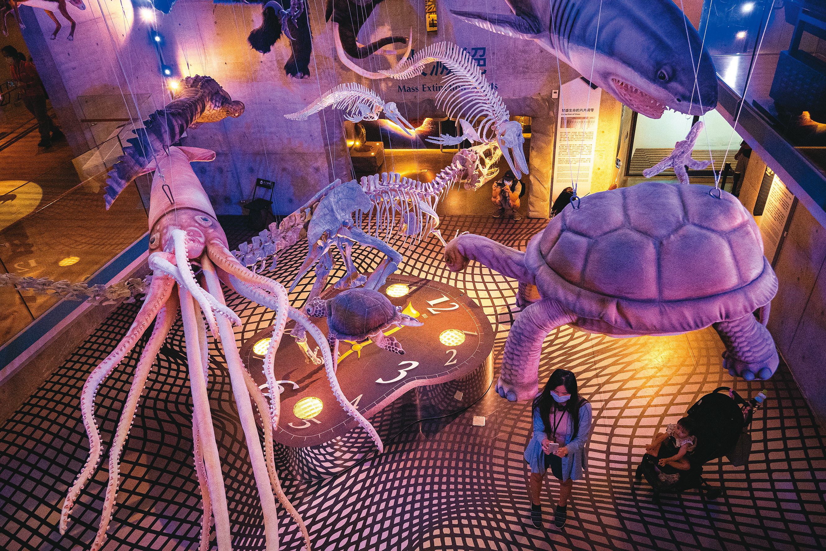 台南左鎮化石園區，以輕鬆的方式讓遊客了解數十億生命演化過程。