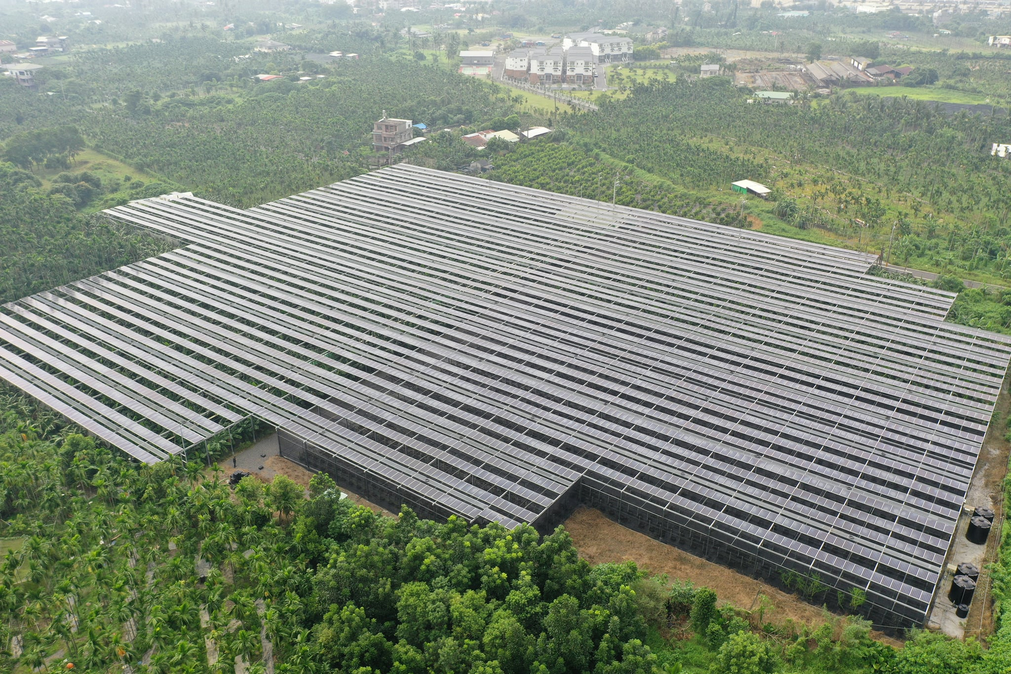 在台灣多日照的環境,格園使用太陽能板作為遮罩,一方面可以打造適合香草的種植環境,另一方面可以販賣電力,增加現金收入。(好食好事基金會 提供)