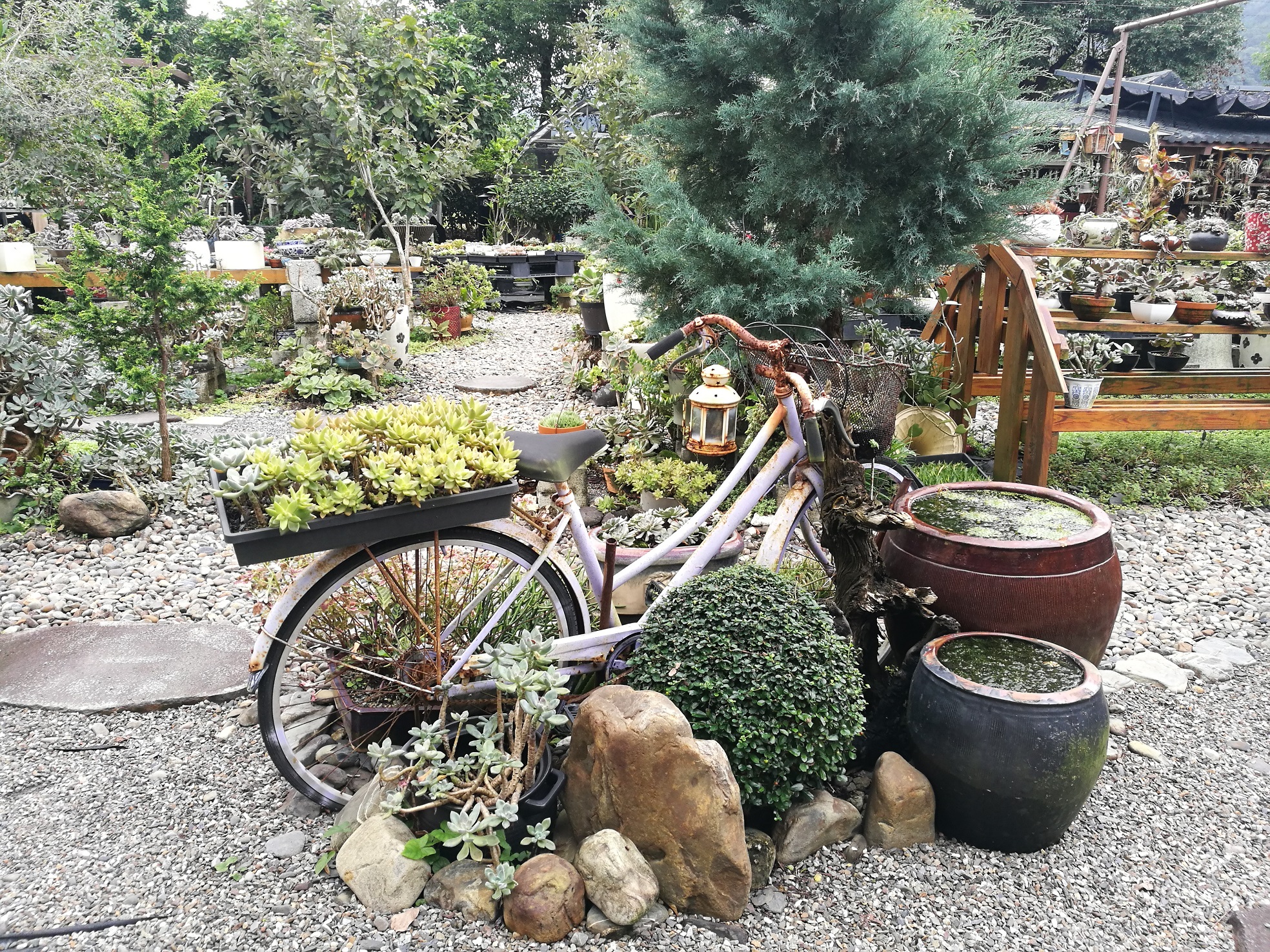 「木渠多肉樂活農場」每個小角落都充滿新意。