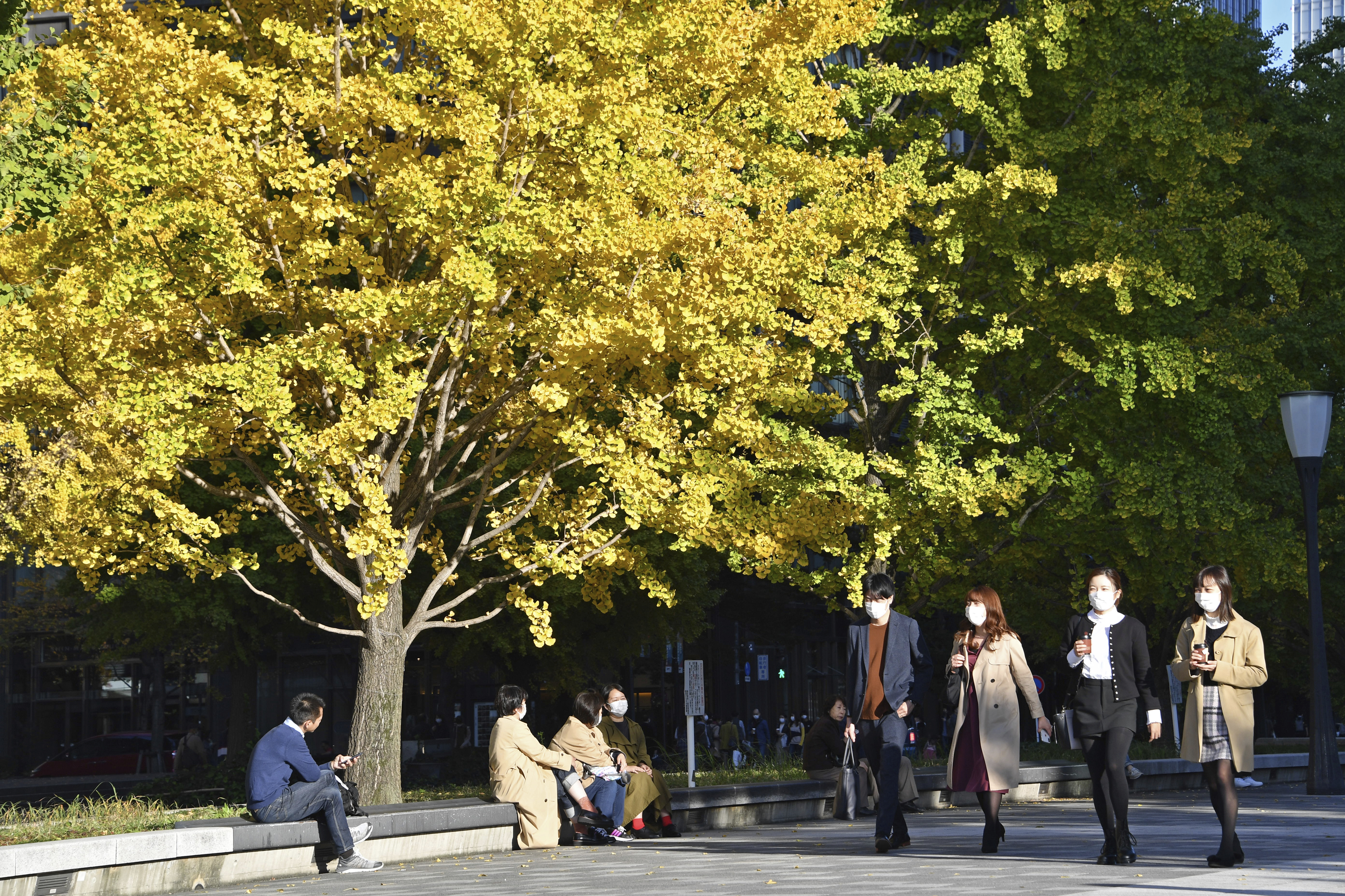 東京都政府決定明天召開專家會議，並將感染狀況警戒級別提升至最高的第4級。（東方IC）