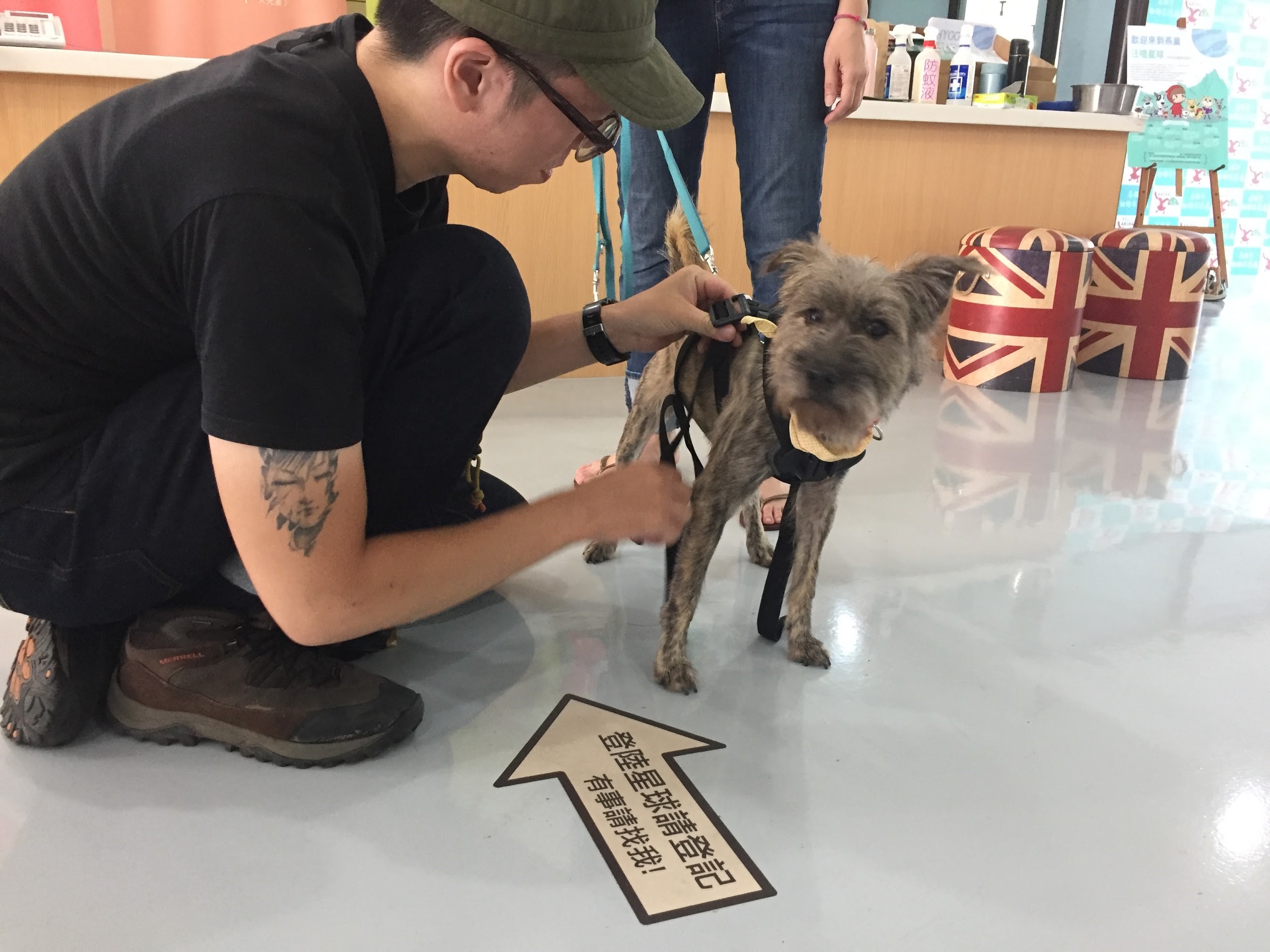 《十二夜2：回到第零天》的行銷團隊要克服的問題，是告訴大家這集不是恐怖片。 （牽猴子整合行銷提供）