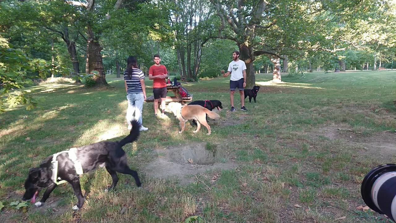 Raye赴奧地利拍攝當地動物收容中心，也參考當地如何將動保觀念融入國民教育。（Raye提供）