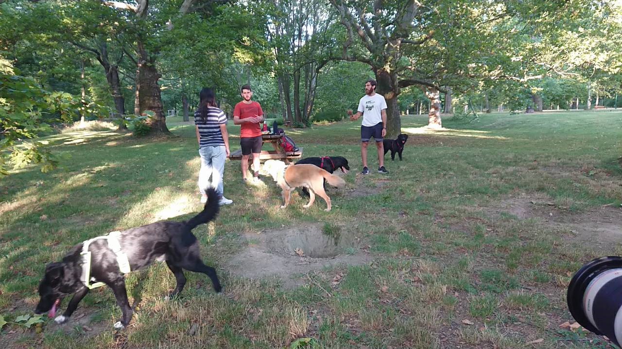Raye赴奧地利拍攝當地動物收容中心，也參考當地如何將動保觀念融入國民教育。（Raye提供）