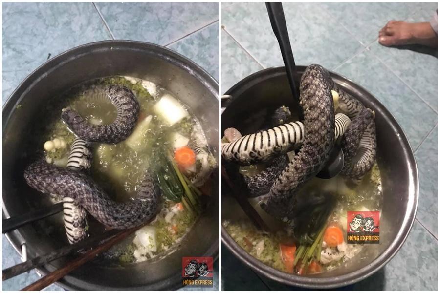 TH和室友在處理這鍋蛇湯前竟完全沒有先去鱗、去皮,引來許多網友反彈。(翻攝自Hóng Express臉書)