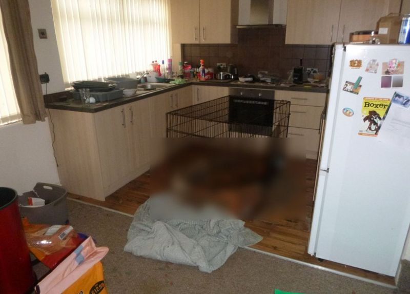 2隻拳師犬等不到外界救援,餓死在自家狗籠內。(RSPCA)
