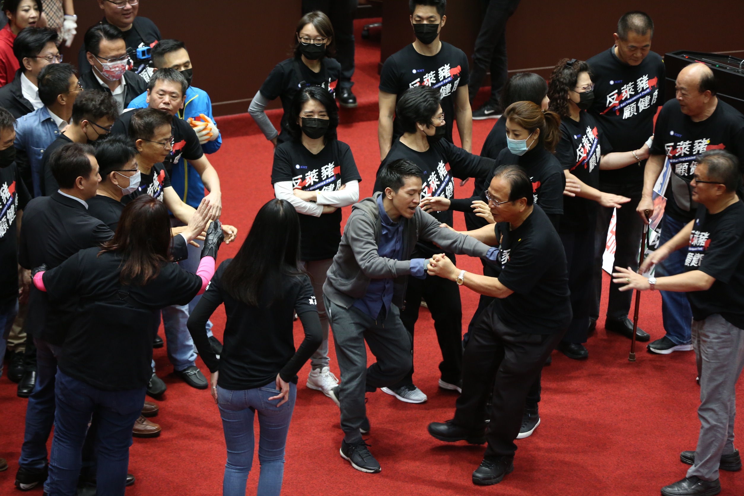 民進黨立委何志偉一度與國民黨立委林德福推擠，引發藍綠委關注。