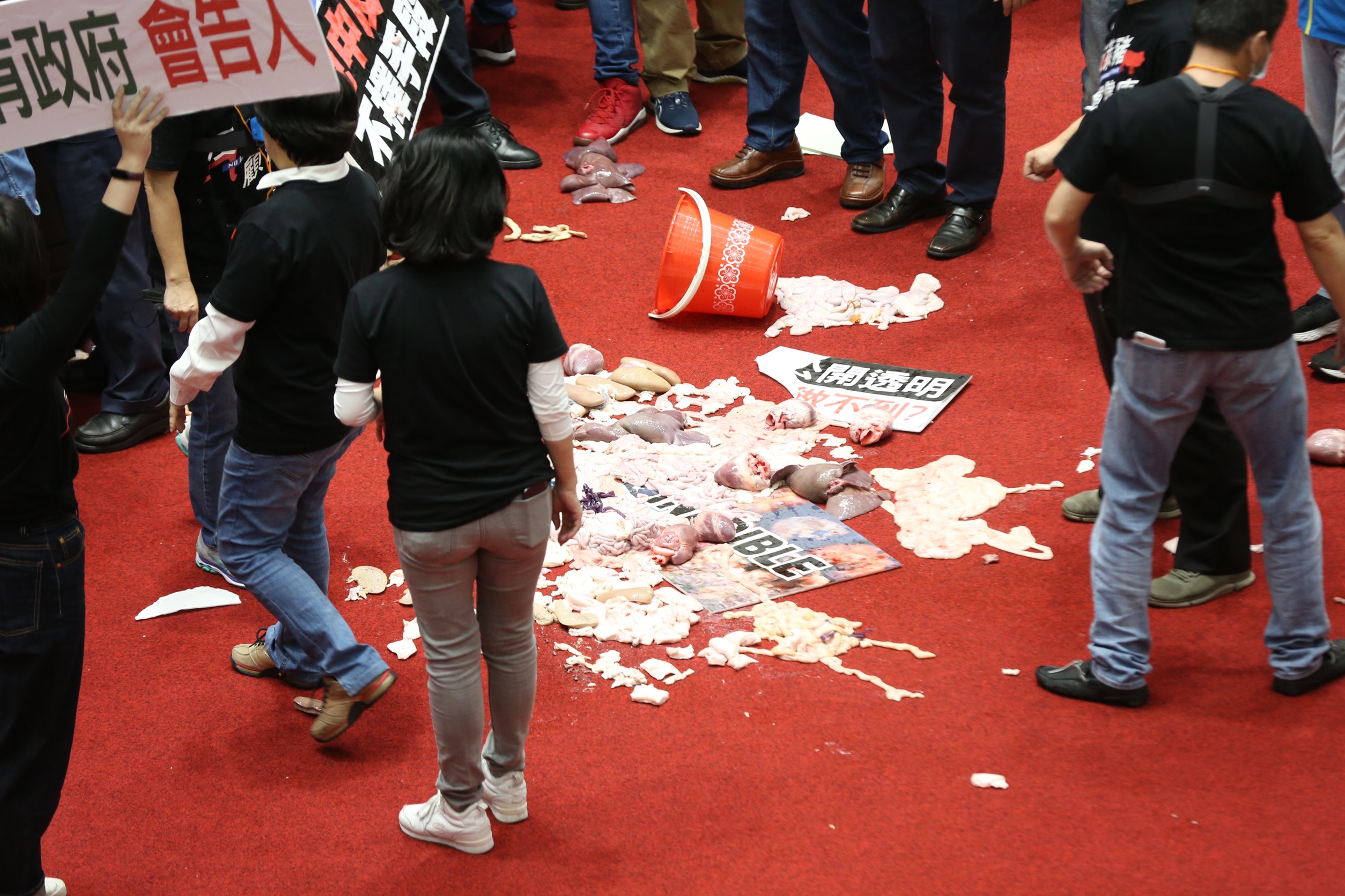 國民黨今日拿出預先準備的豬內臟潑灑，讓議場瞬間瀰漫「腥味」。