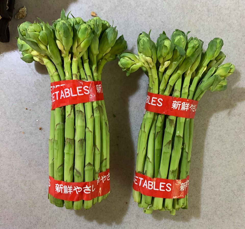 晩香玉花芽，花苞上的葉子要摘掉。