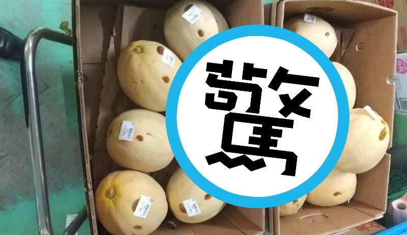 受害店家將夕張哈密瓜遭戳洞的照片提供給警方與當地媒體。（翻攝自釧路市警局Twitter）