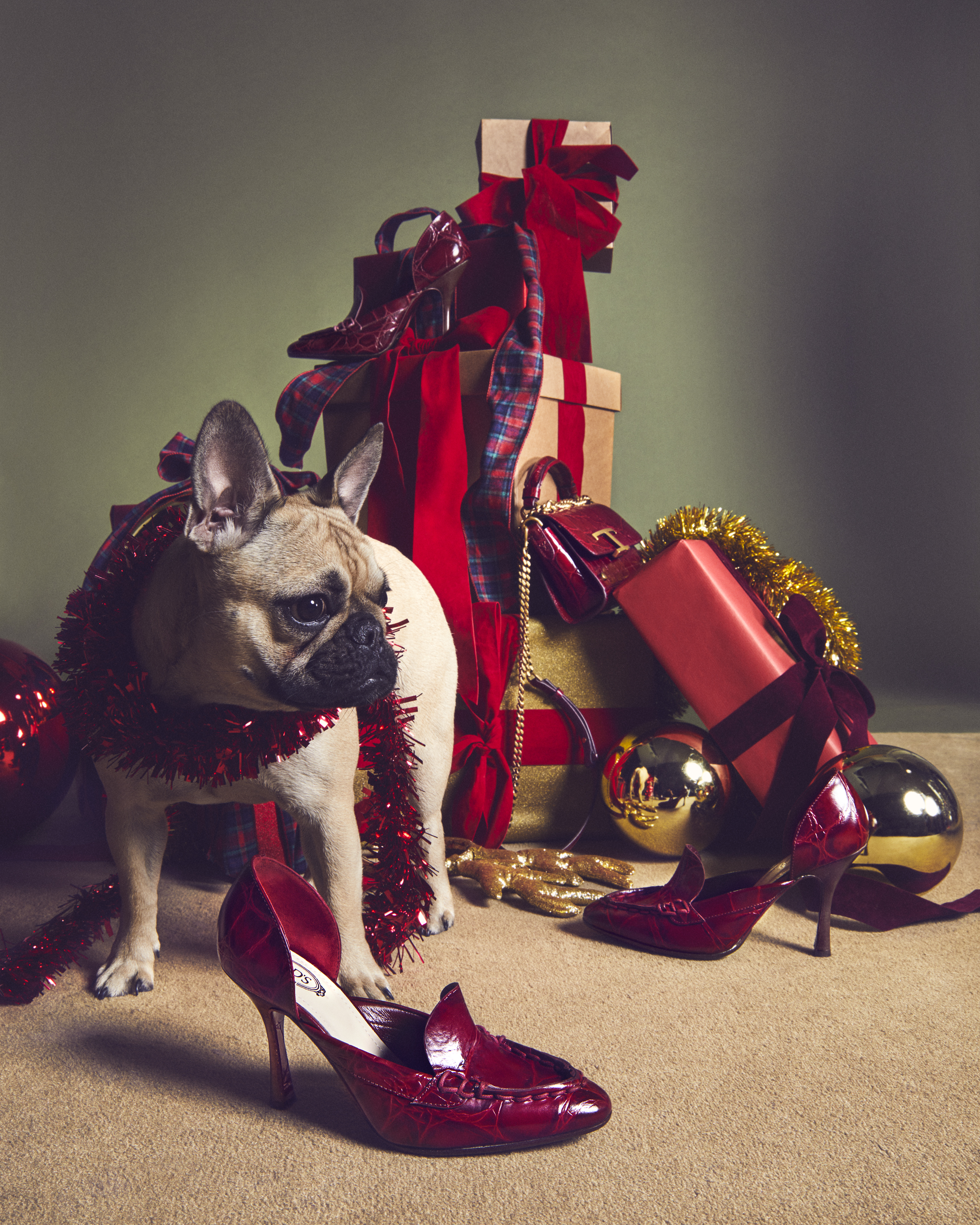 被打扮妥當的狗兒們,成為TOD’S「A Pawfect Holiday」耶誕企劃的主角,很令人驚喜。(迪生提供)
