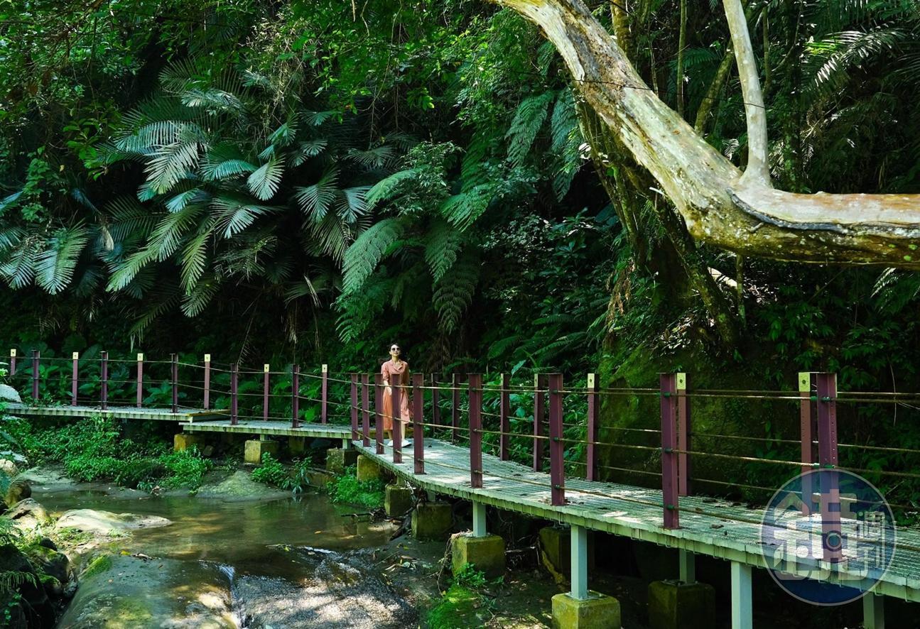 沿溪流而建的幽情谷步道，設有木棧道，十分親近溪水。
