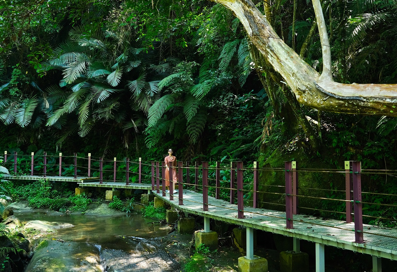 沿溪流而建的幽情谷步道，設有木棧道，十分親近溪水。