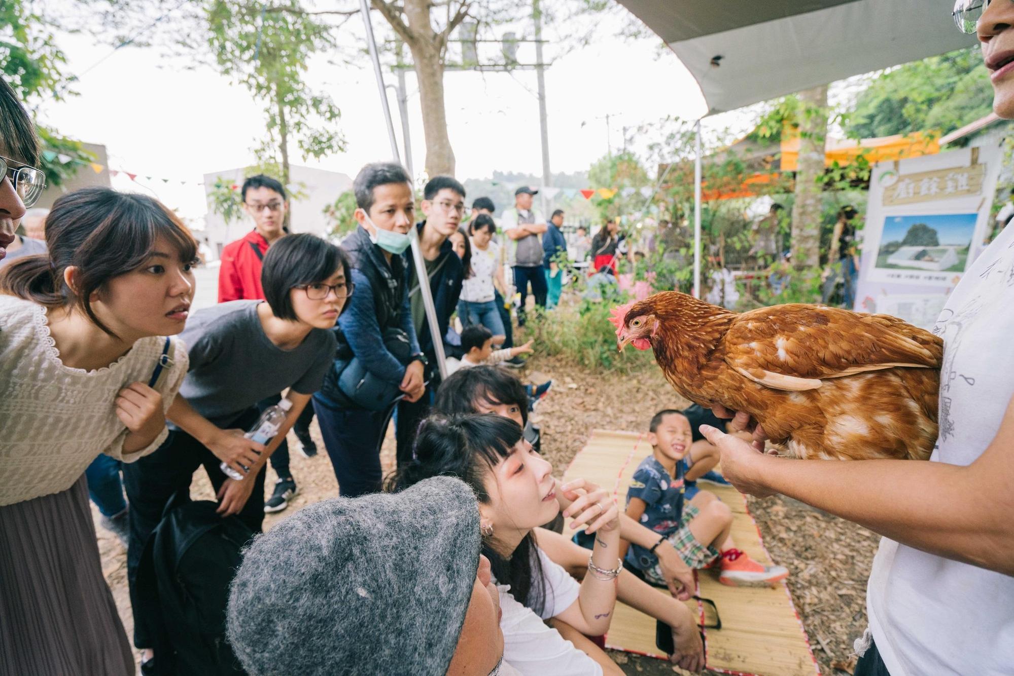 「友雞生活」動物闖關遊戲,許多民眾熱情參與。(吹狗螺音樂生活節提供)