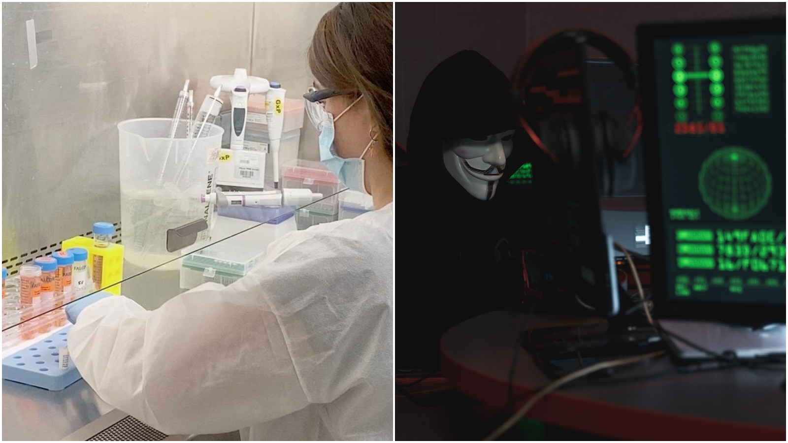 IBM示警，全球多間涉及分發武肺疫苗的公司，遭到據信是國家級的駭客攻擊。（翻攝自輝瑞臉書、Pexels／攝影師：Tima Miroshnichenko）