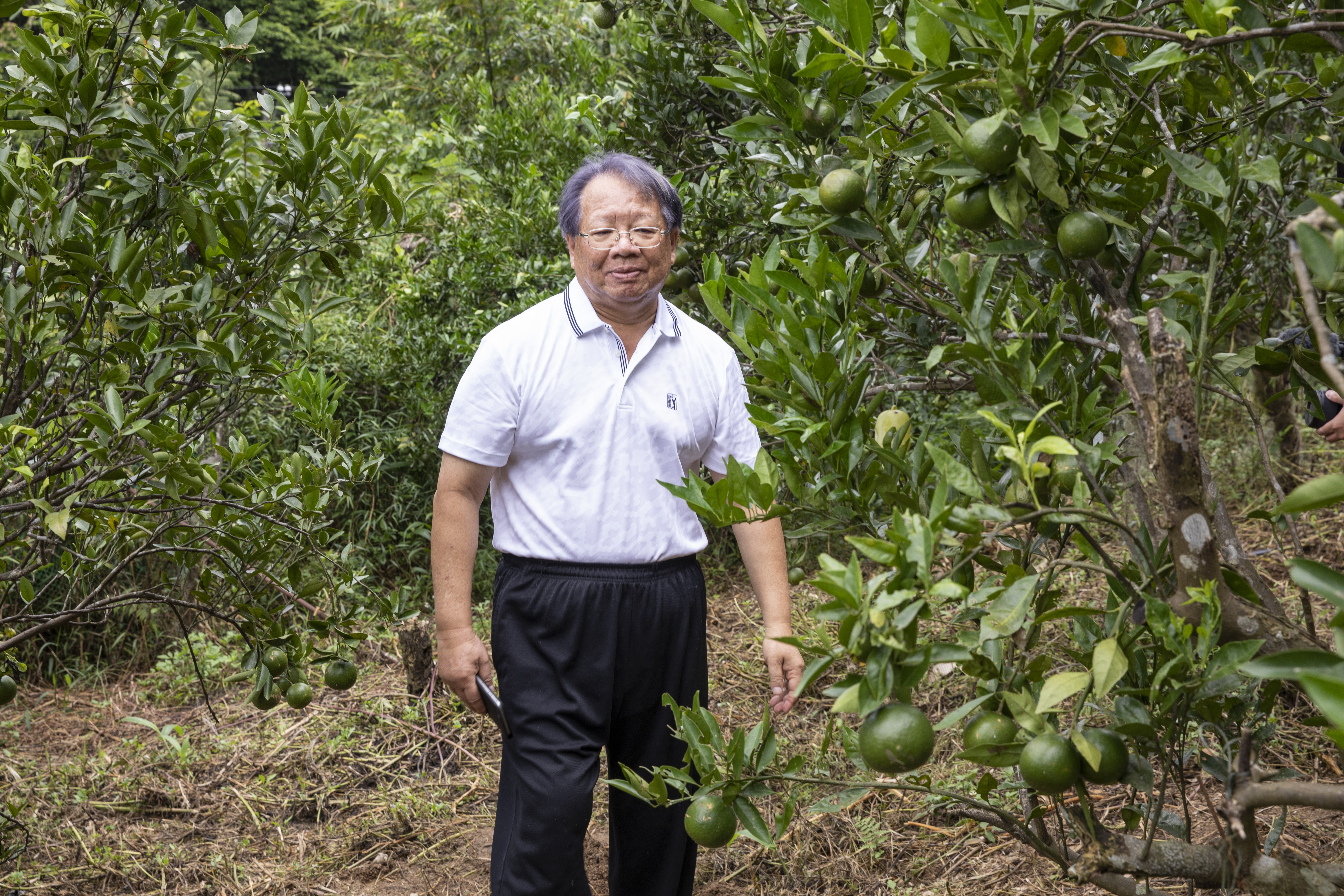 張榮豐帶著我們回到老家旁的橘園。他少時家貧，早早被選入村裡能挑重擔的行列，做各種粗工、幫鄰人挑橘子，以賺取微薄家用。