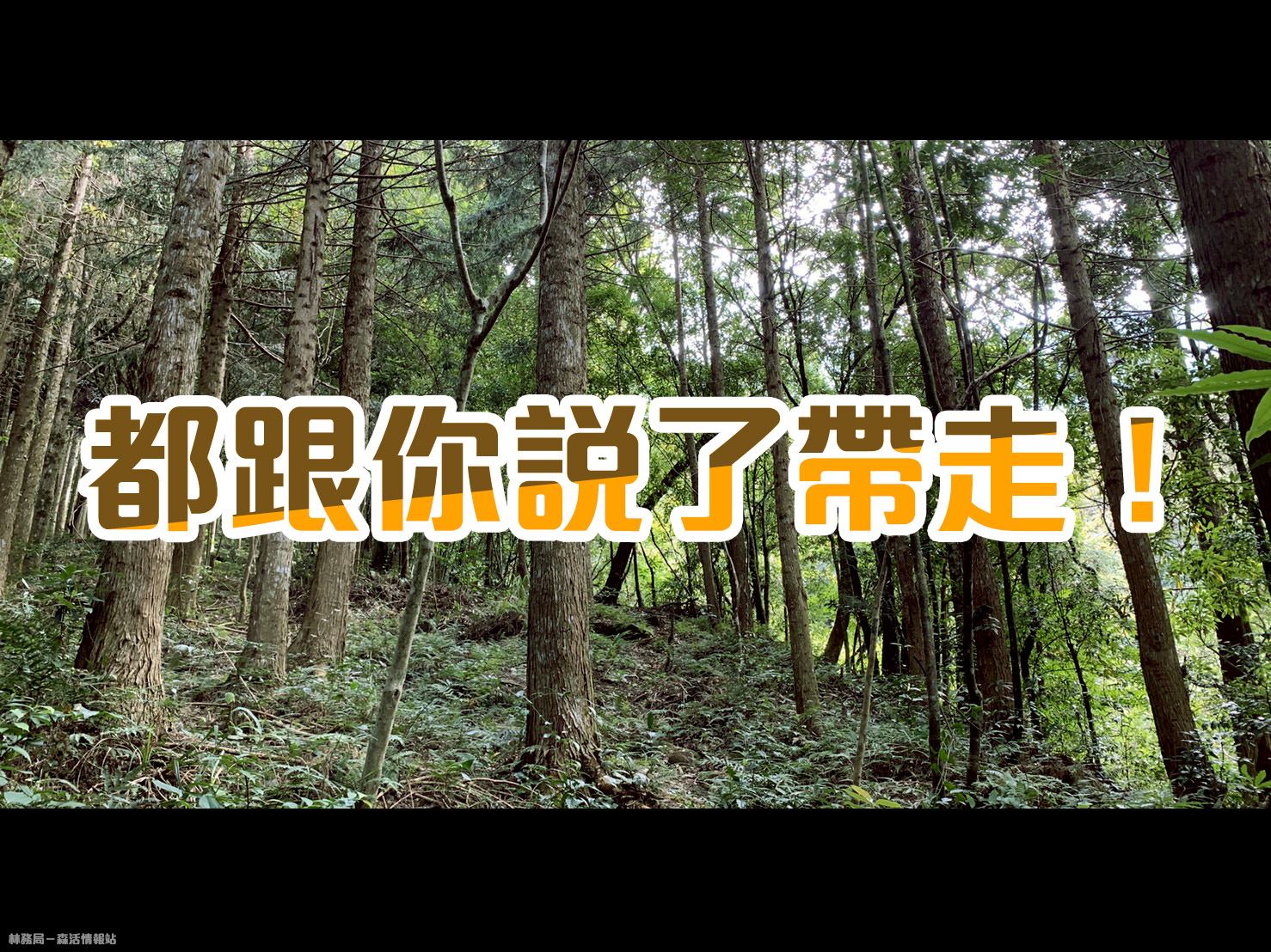 林務局呼籲大家，不要把垃圾留在山上，一起遵守「無痕山林」準則。（翻攝自林務局-森活情報站臉書）