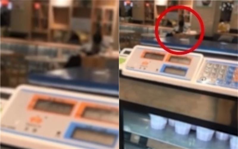 1日有網友在微博爆料，江蘇省揚州市職業大學校園餐廳內出現活春宮。（翻攝自看蘇州微博）