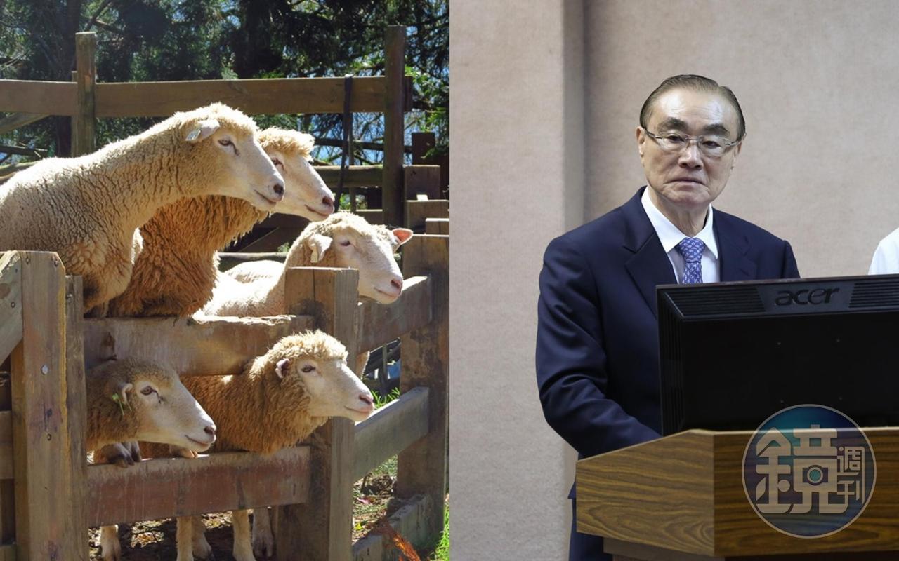 對於「終止清境綿羊秀」連署已通過附議,馮世寬表示「荒謬」。(翻攝自清境農場官網、本刊資料照)