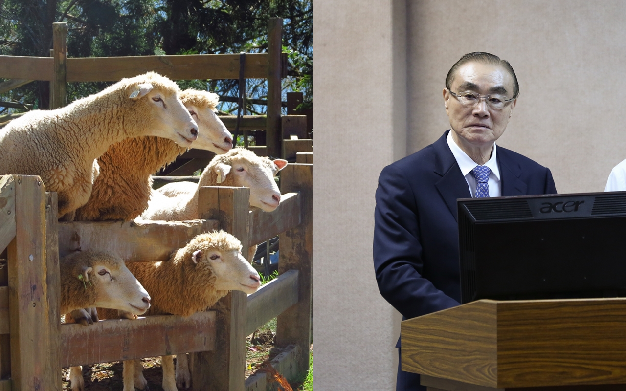 對於「終止清境綿羊秀」連署已通過附議，馮世寬表示「荒謬」。（翻攝自清境農場官網、本刊資料照）