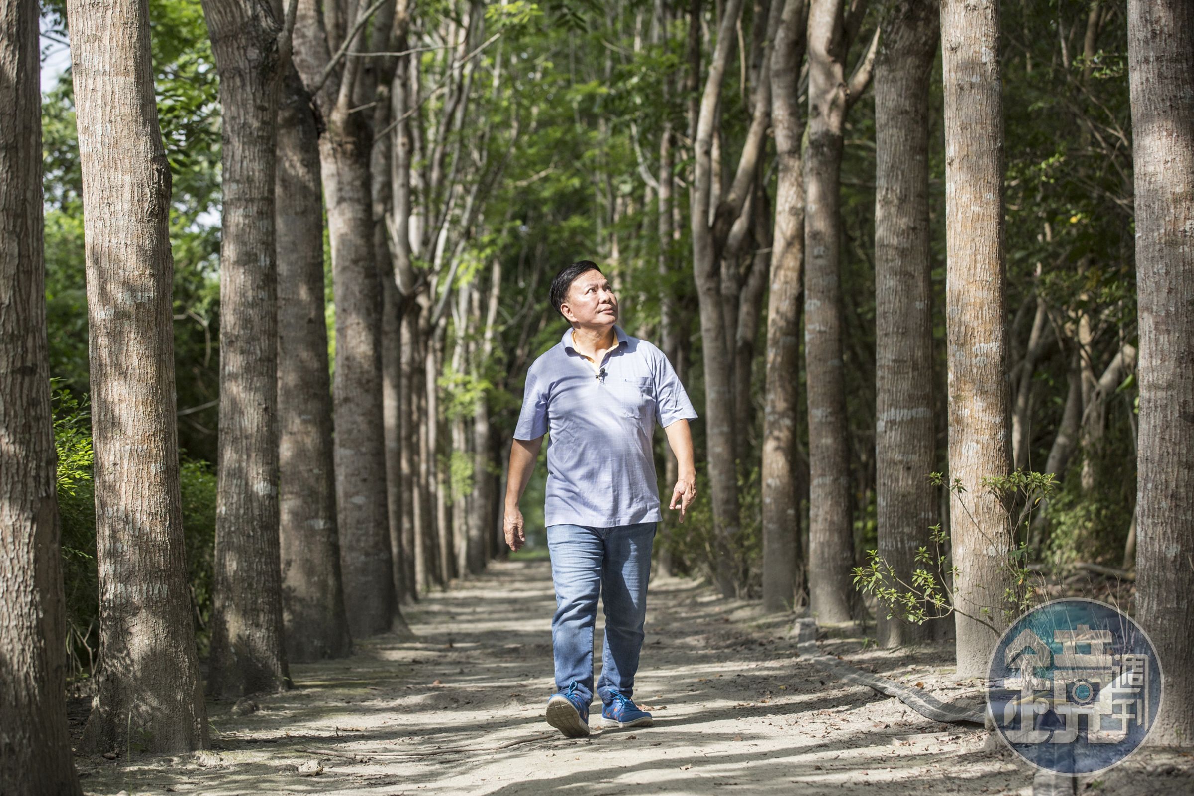 喜好園藝的鄭越才，在渡假村裡種了各式各樣的樹木、設置森林步道，讓住客可以更貼近大自然。