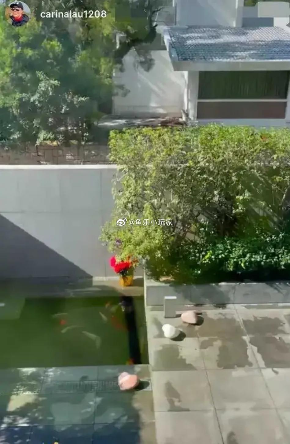 劉嘉玲秀出自家價值11億的豪宅部分景觀,她還在庭院養了錦鯉。(翻攝自魚樂小玩家微博)