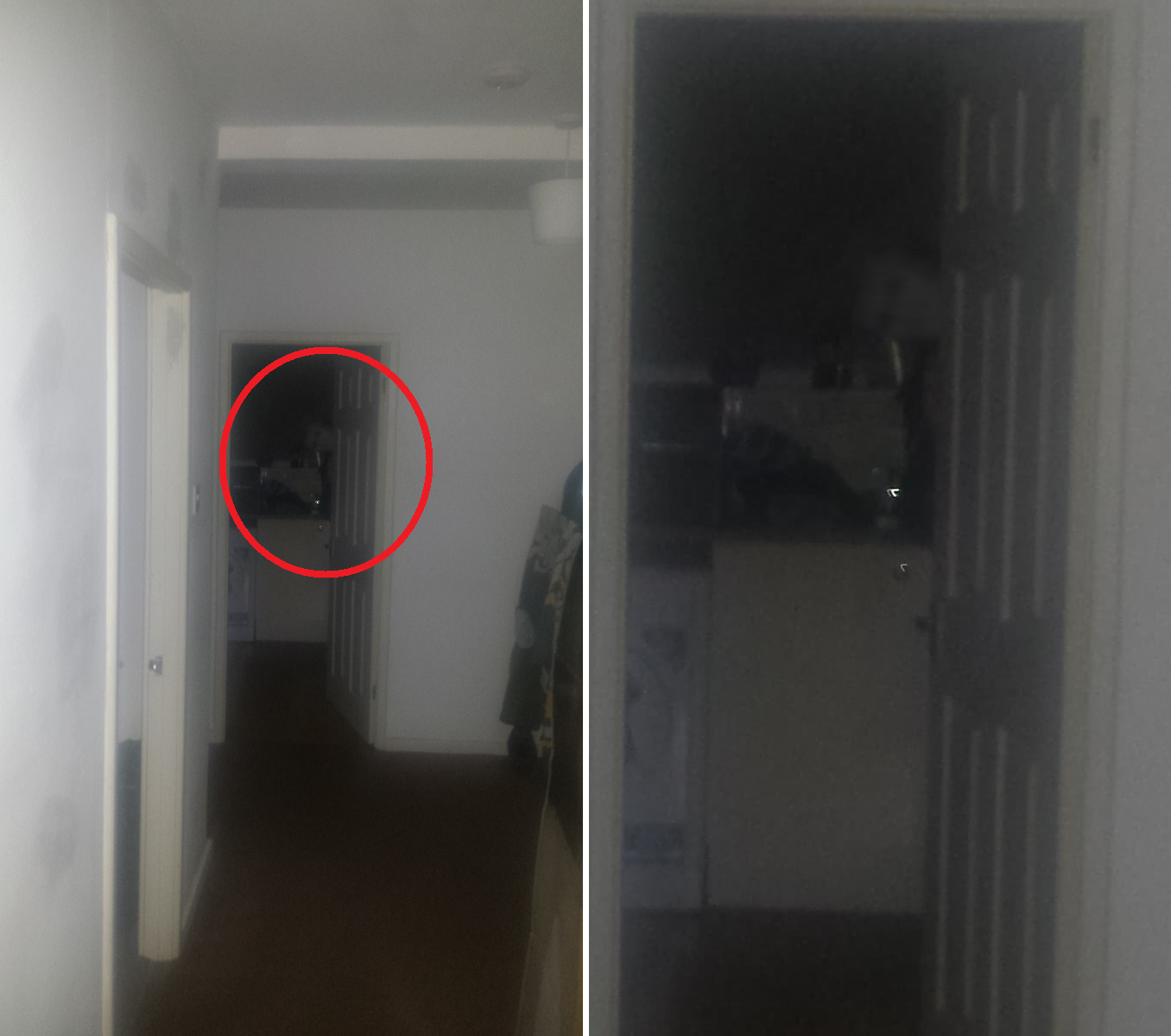 照片嚇到他當下決定搬家！（翻攝自Reddit／OopySpoopyMan）