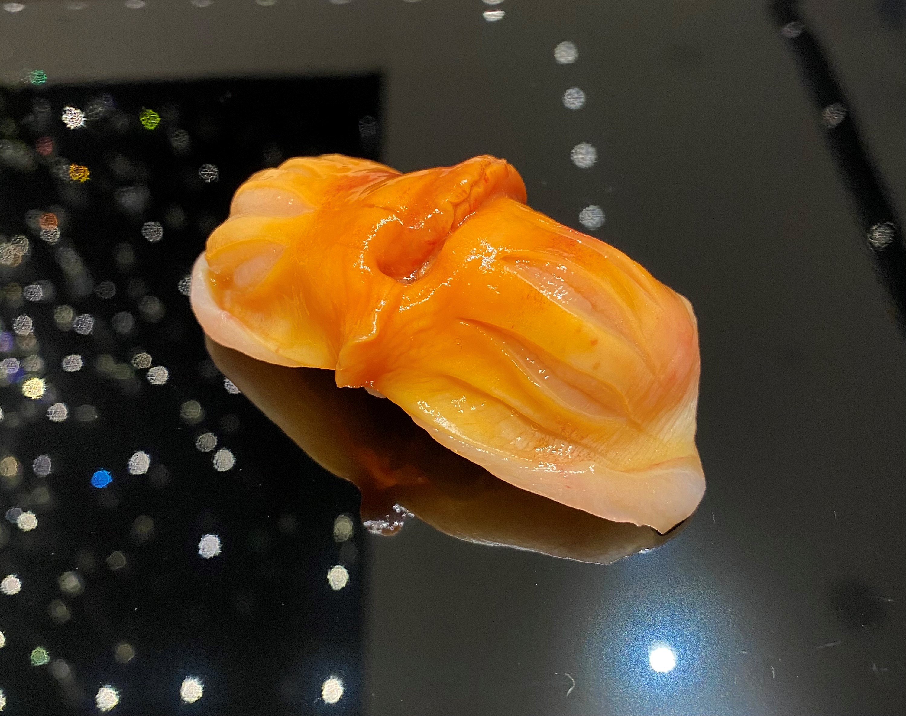 來自九州大分縣的赤貝，上桌前才挖出，鮮度極高。（鮨增田提供）