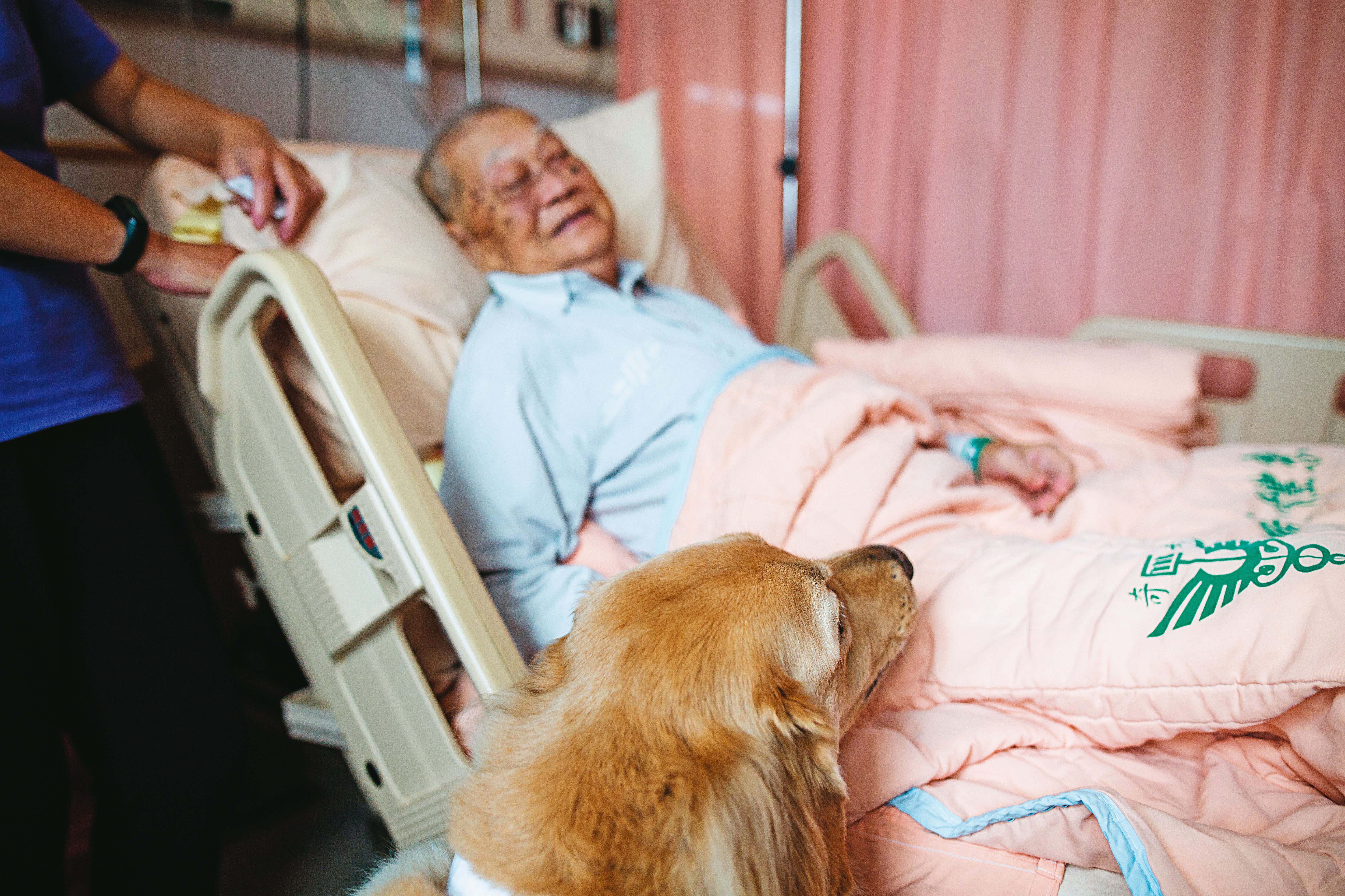 看著狗醫師的溫暖眼神跟逗趣舉止，吳老伯暫時忘記病痛，露出久違的笑容。