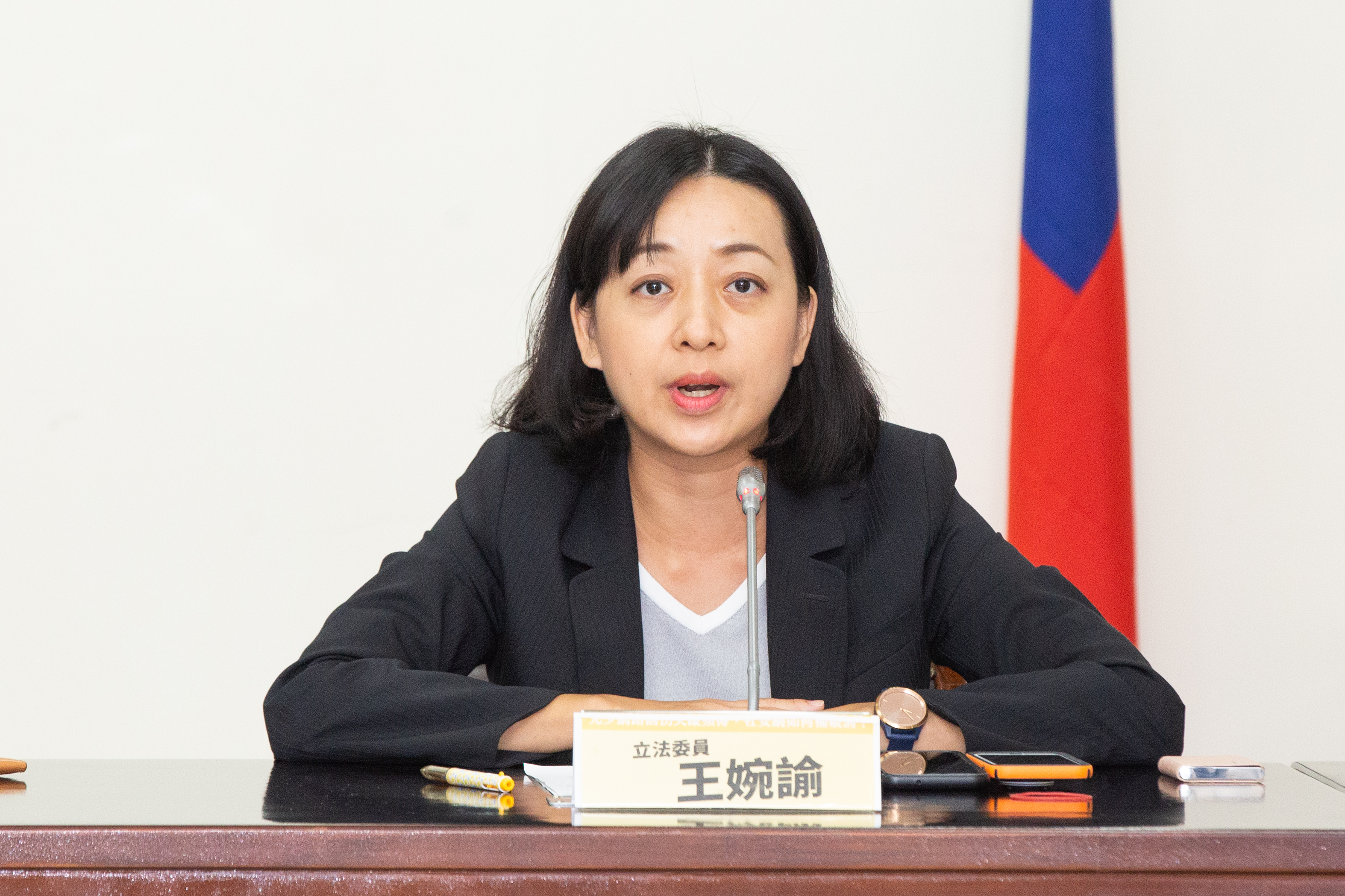 王婉諭認為三鍘刀公仔並不適合當作法治教育的教材。(本刊資料照)