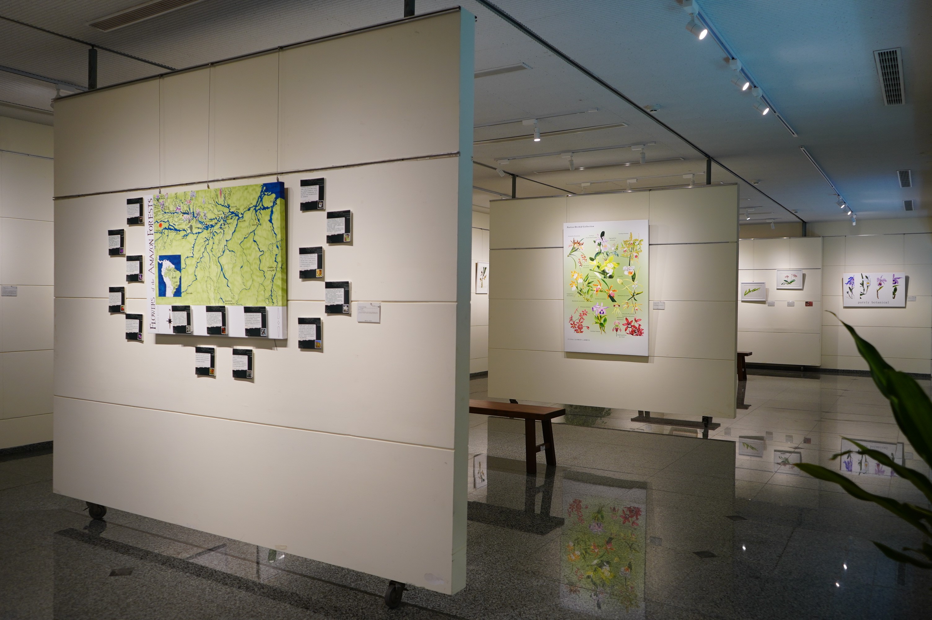 成美藝廊正在展出「神秘南美植物の奇幻探險」。(成美文化園提供)