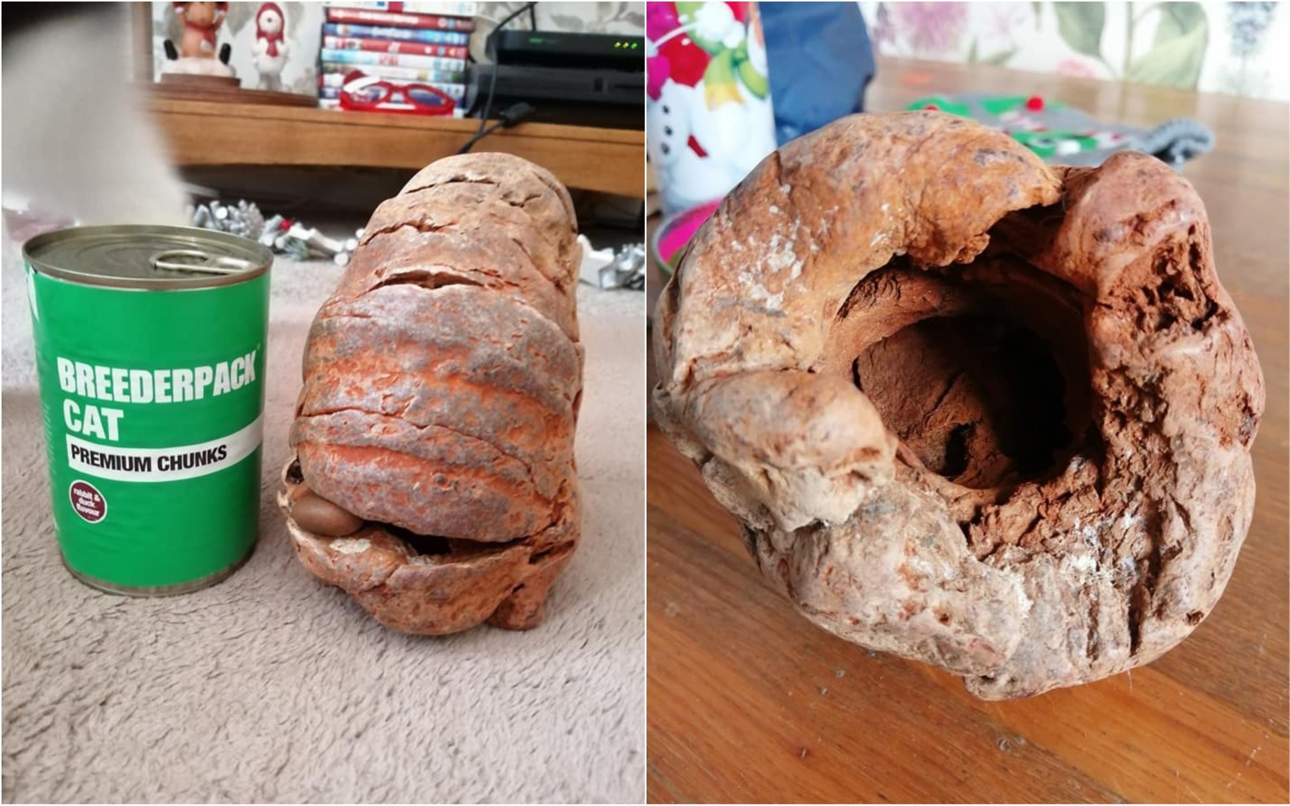 英國一對母女在海邊撿到「化石」，想不到竟是二戰時期的手榴彈。（翻攝Jodie Crews臉書）