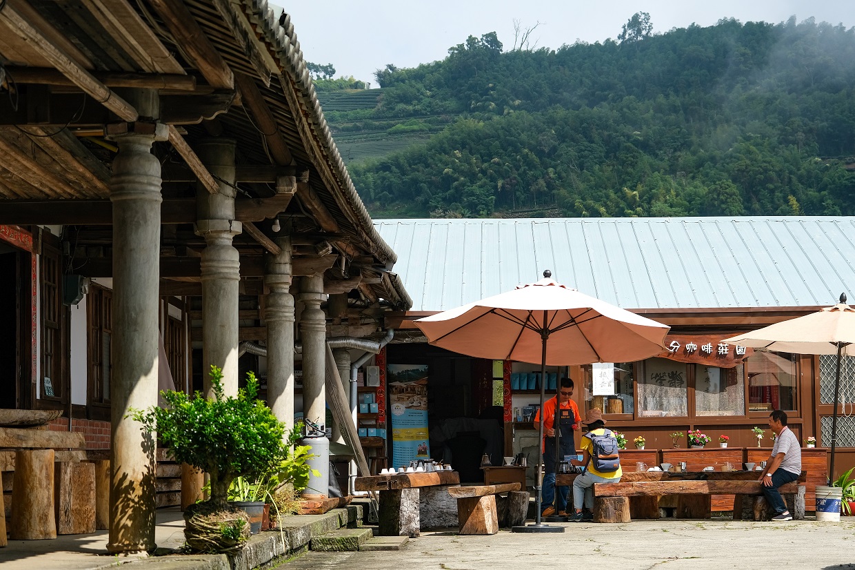 2、3年前才對外開放的梅山鄉龍眼村「最高分咖啡莊園」。
