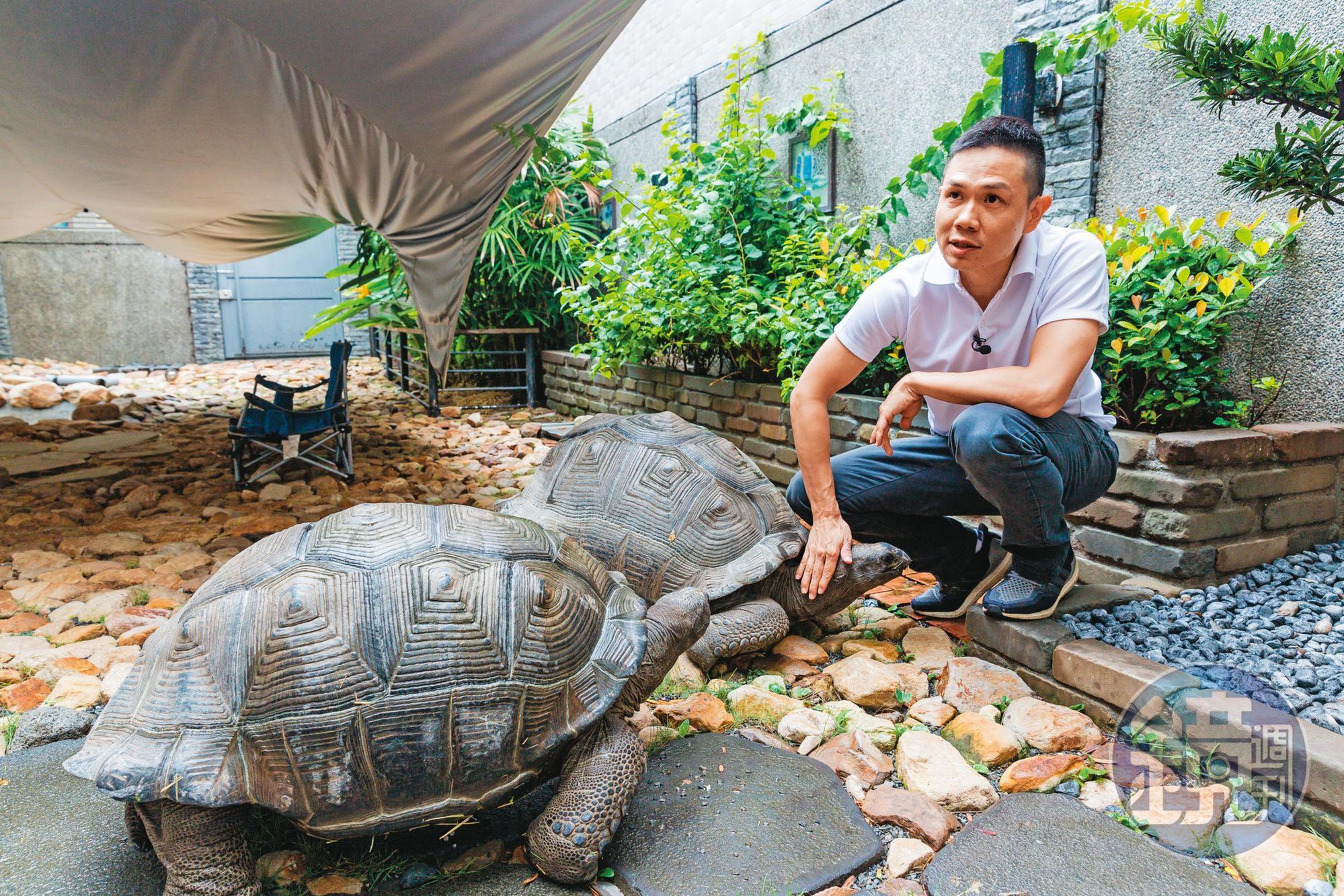 李昆霖熱愛動物，他在Booking漫畫店後院養陸龜，天氣好時會陪寵物做日光浴。