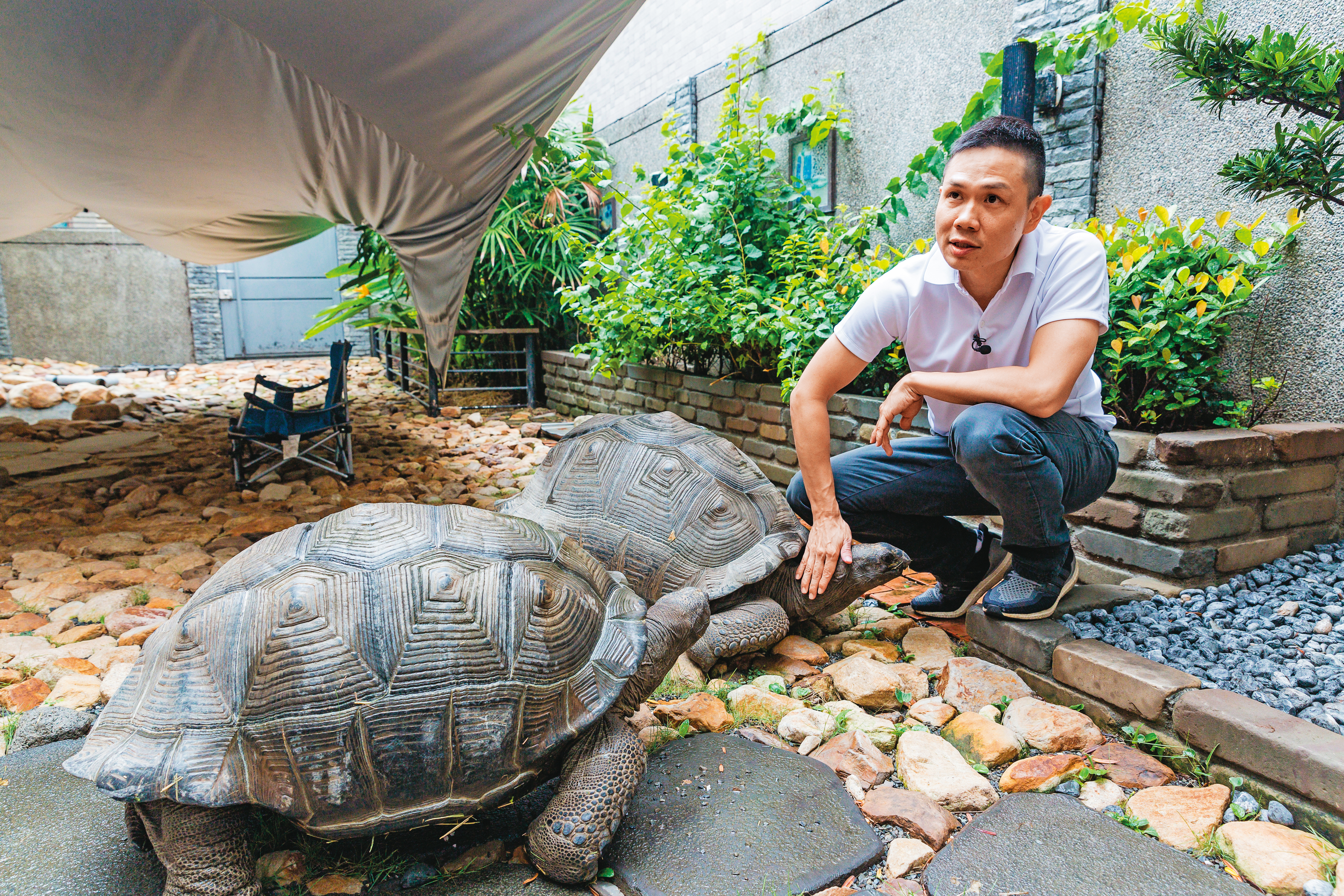 李昆霖熱愛動物，他在Booking漫畫店後院養陸龜，天氣好時會陪寵物做日光浴。