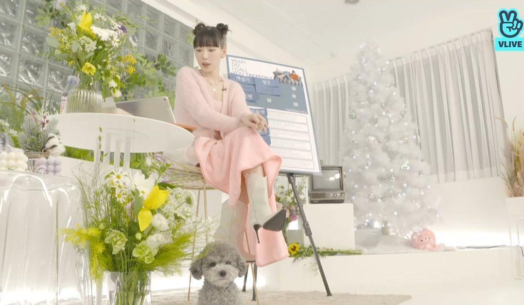 「少女時代」隊長太妍昨為宣傳新專輯開直播,帶著愛犬zero一起介紹新專輯。(翻攝zero Instagram)