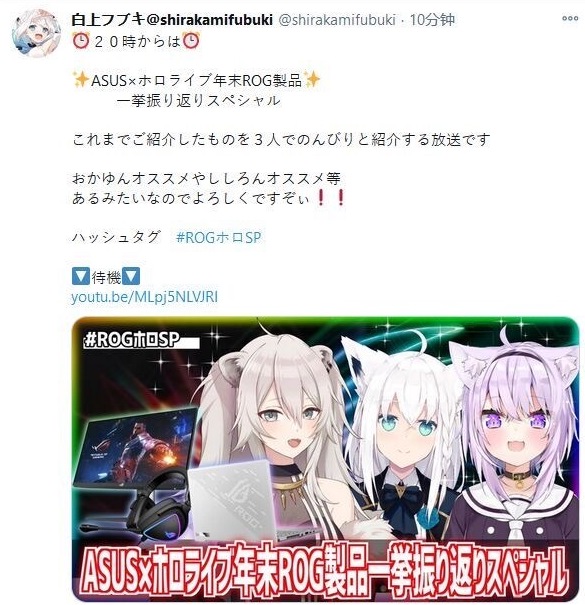 Hololive Vtuber白上吹雪於推特公告直播取消。（翻攝推特）